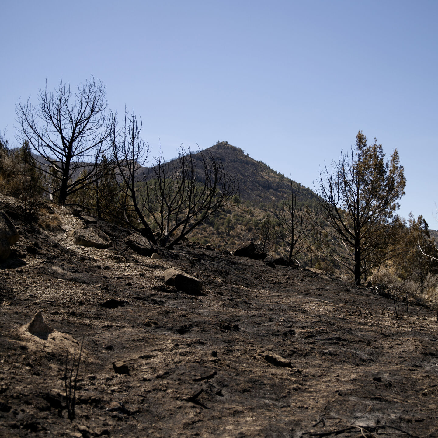 090220-fea-postpinegulch04-ml